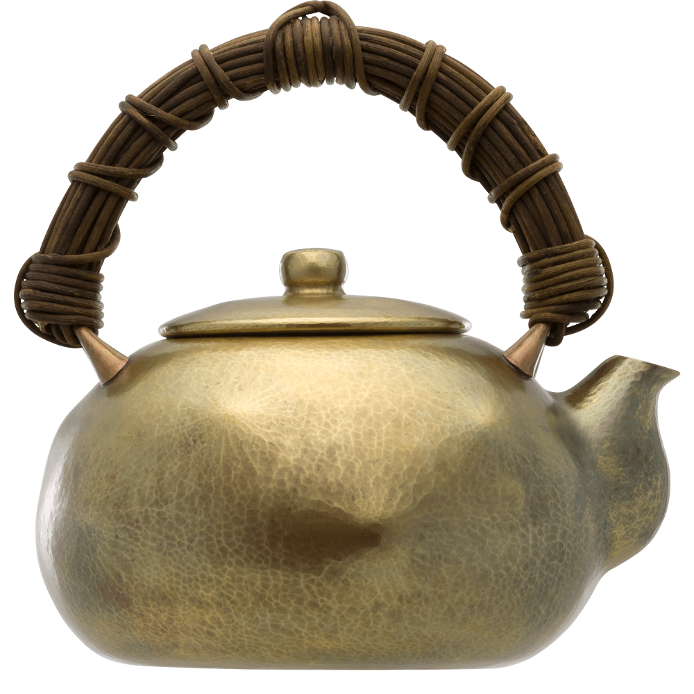 Кованый чайник для воды BORK TK700 - купить в официальном интернет-магазине БОРК