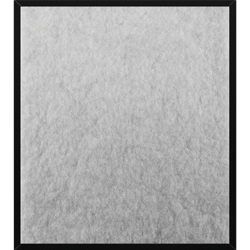 Фильтр ALLERGIST A804 BORK